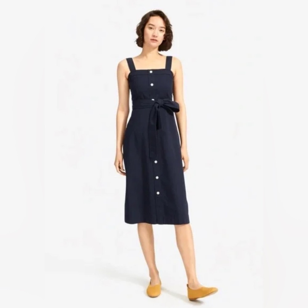 Everlane Cotton Weave Picnic Dress